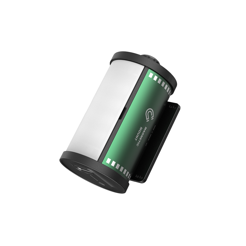 TELESIN Bi-Color LED Video Light For Camera