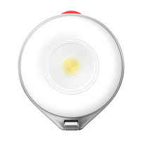 Telesin 2 In 1 Magnetic Flashlight & Selfie Light