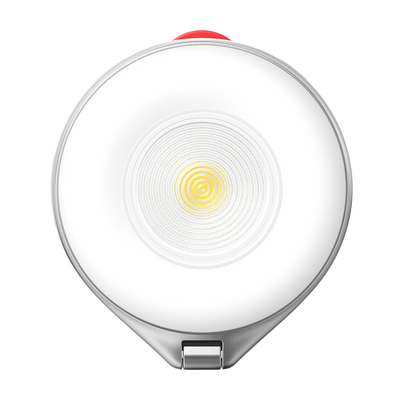 Telesin 2 In 1 Magnetic Flashlight & Selfie Light