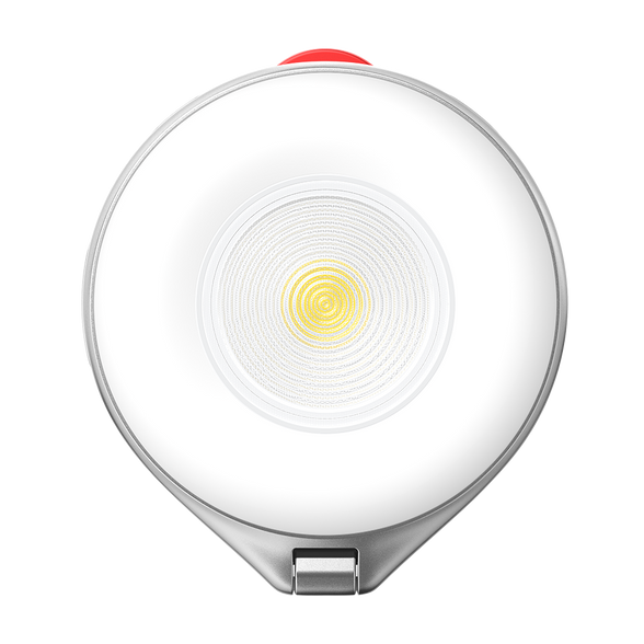 Telesin 2 In 1 Magnetic Flashlight & Selfie Light