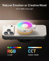 TELESIN CCT x RGB Magnetic Fill Light