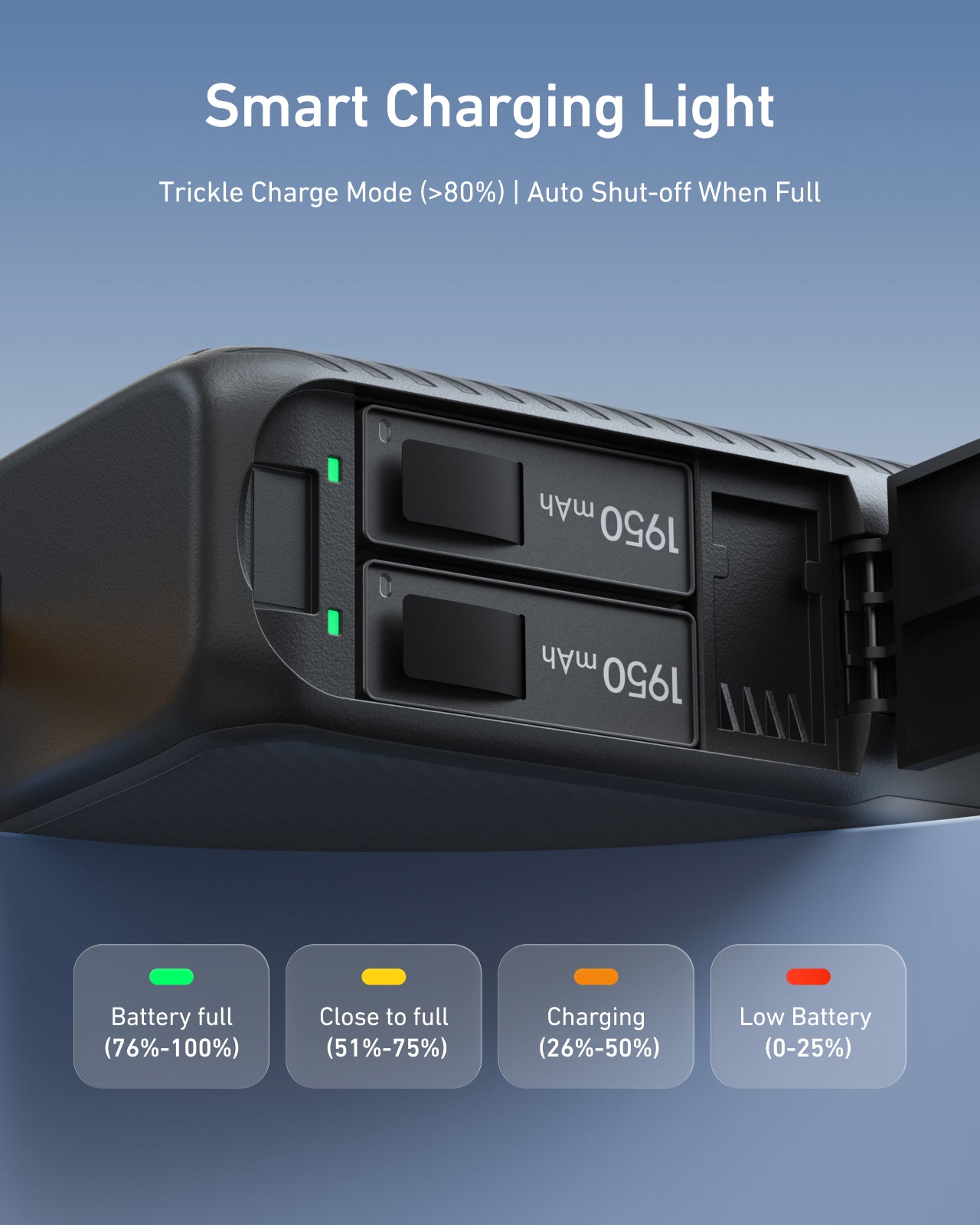 Telesin Portable Power Battery for Action 6/5 Pro/4/3/Osmo 360 & Smartphones