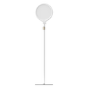 Fill Light