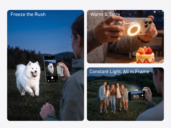 Telesin Fill-Light Selfie Handle for Smartphones