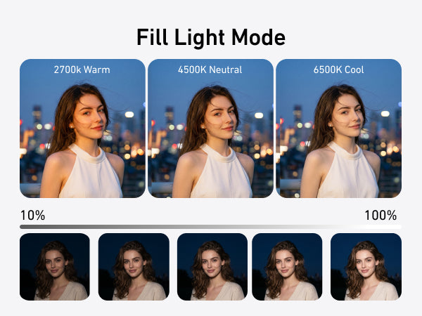 Telesin Fill-Light Selfie Handle for Smartphones