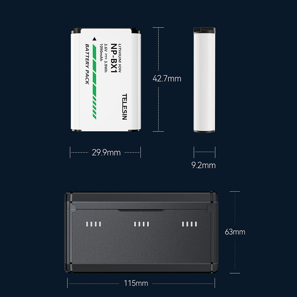 TELESIN Portable Charging Case with 2 NP-BX1 Batteries for Sony