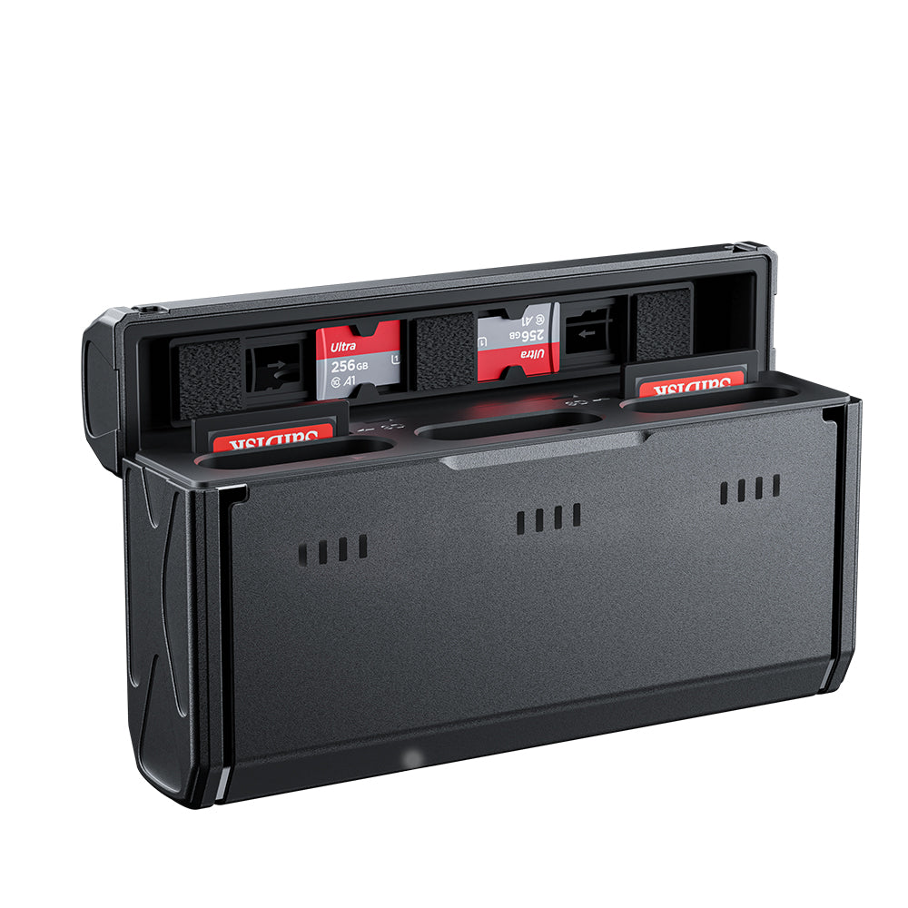 TELESIN Portable Charging Case with 2 NP-BX1 Batteries for Sony