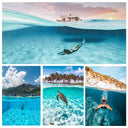 TELESIN Dome Port for GoPro Hero 11/10/9